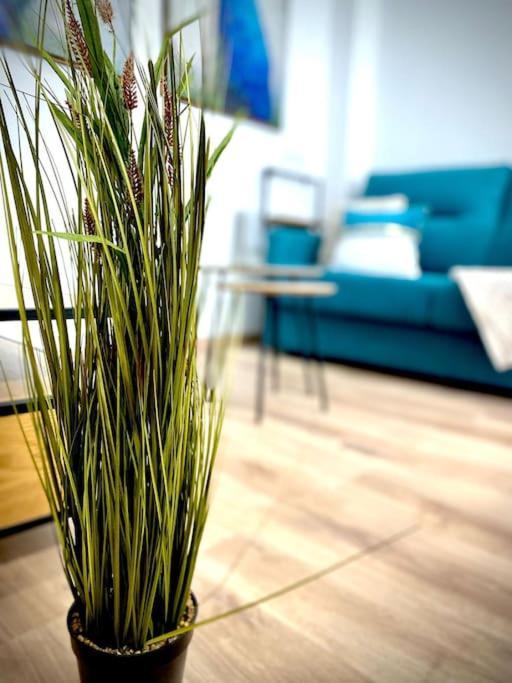 Apartamento Mychoice Salmarina Rota Exterior foto